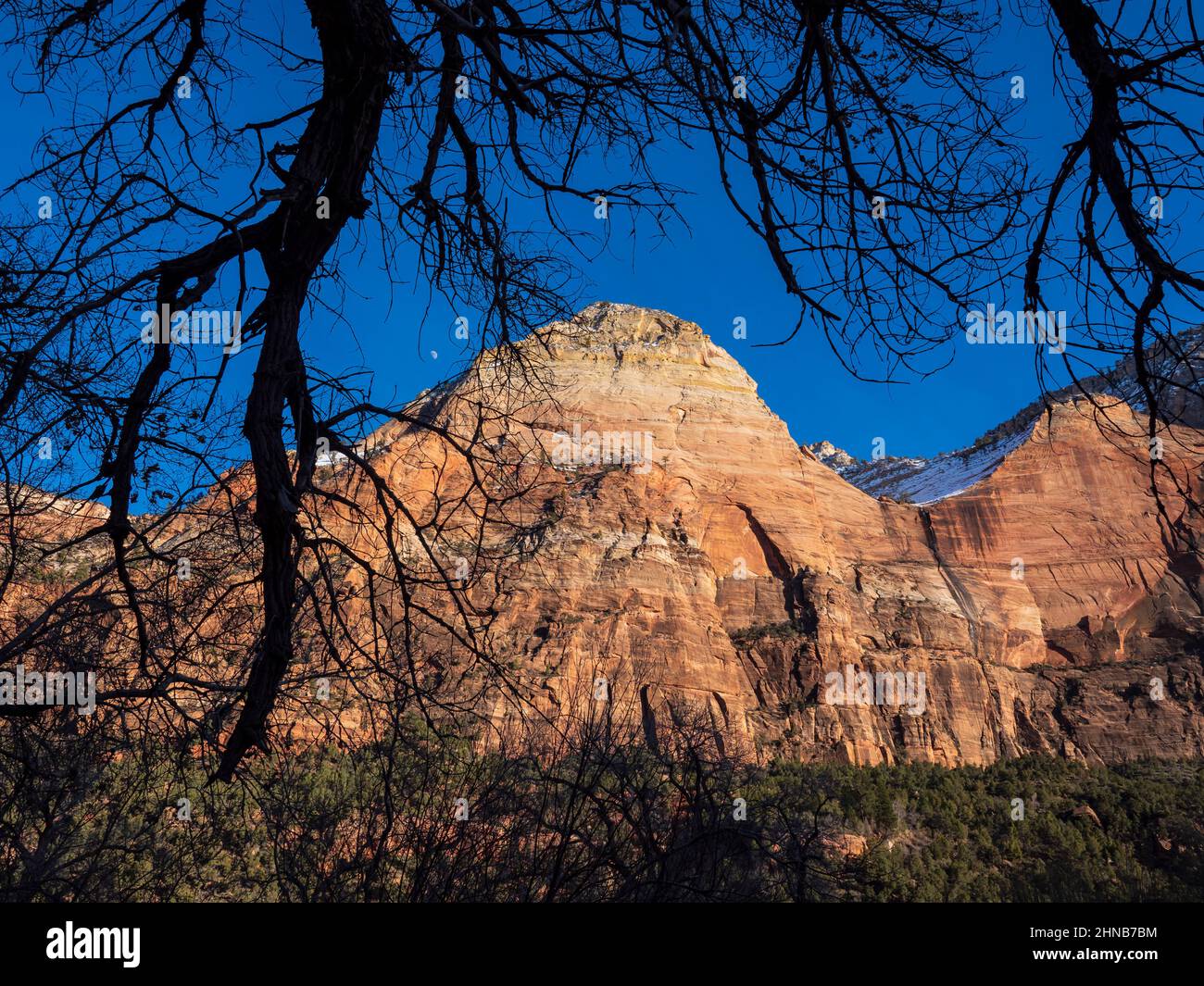 Scogliere sulla parete orientale del canyon di Zion, il parco nazionale di Zion, Utah. Foto Stock