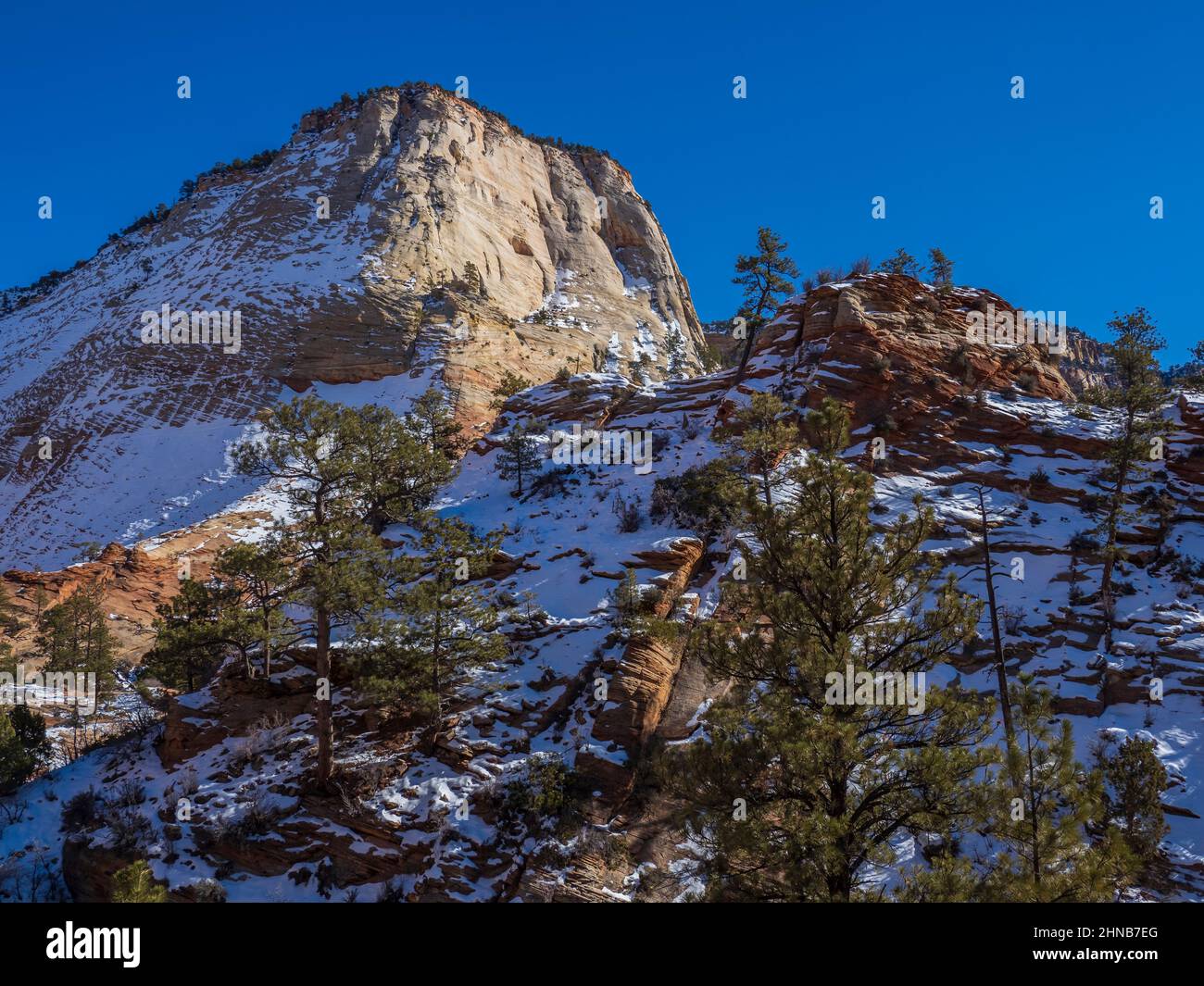 Scogliere vicino a Checkerboard Mesa, Zion-Mount Carmel Junction Highway, inverno, Zion National Park, Utah. Foto Stock