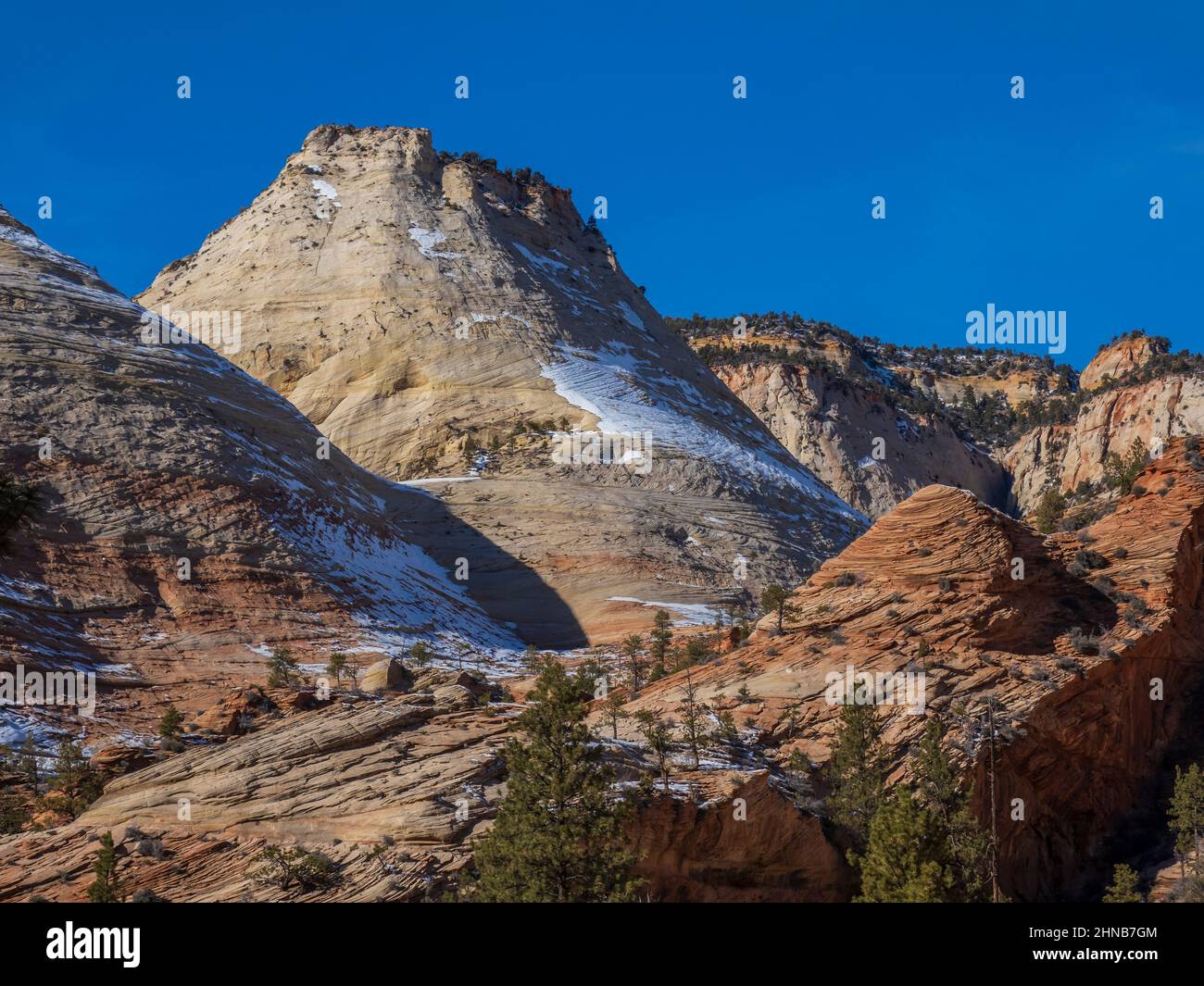 Scogliere vicino a Checkerboard Mesa, Zion-Mount Carmel Junction Highway, inverno, Zion National Park, Utah. Foto Stock