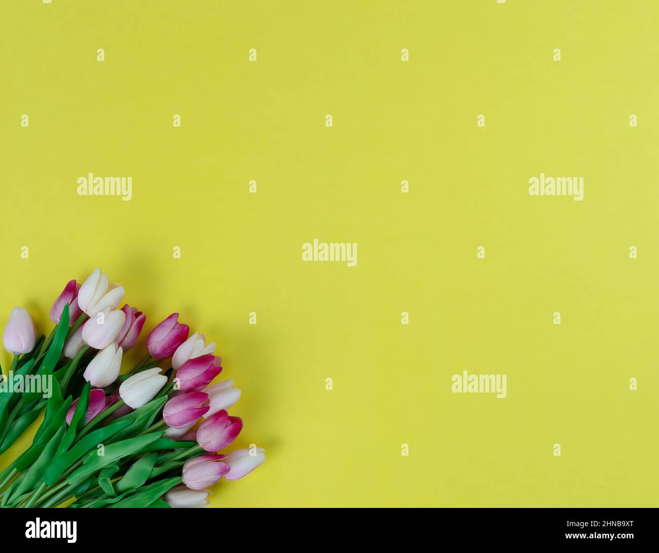 Tulipani colorati su sfondo giallo brillante per il concetto di Pasqua o festa delle madri Foto Stock