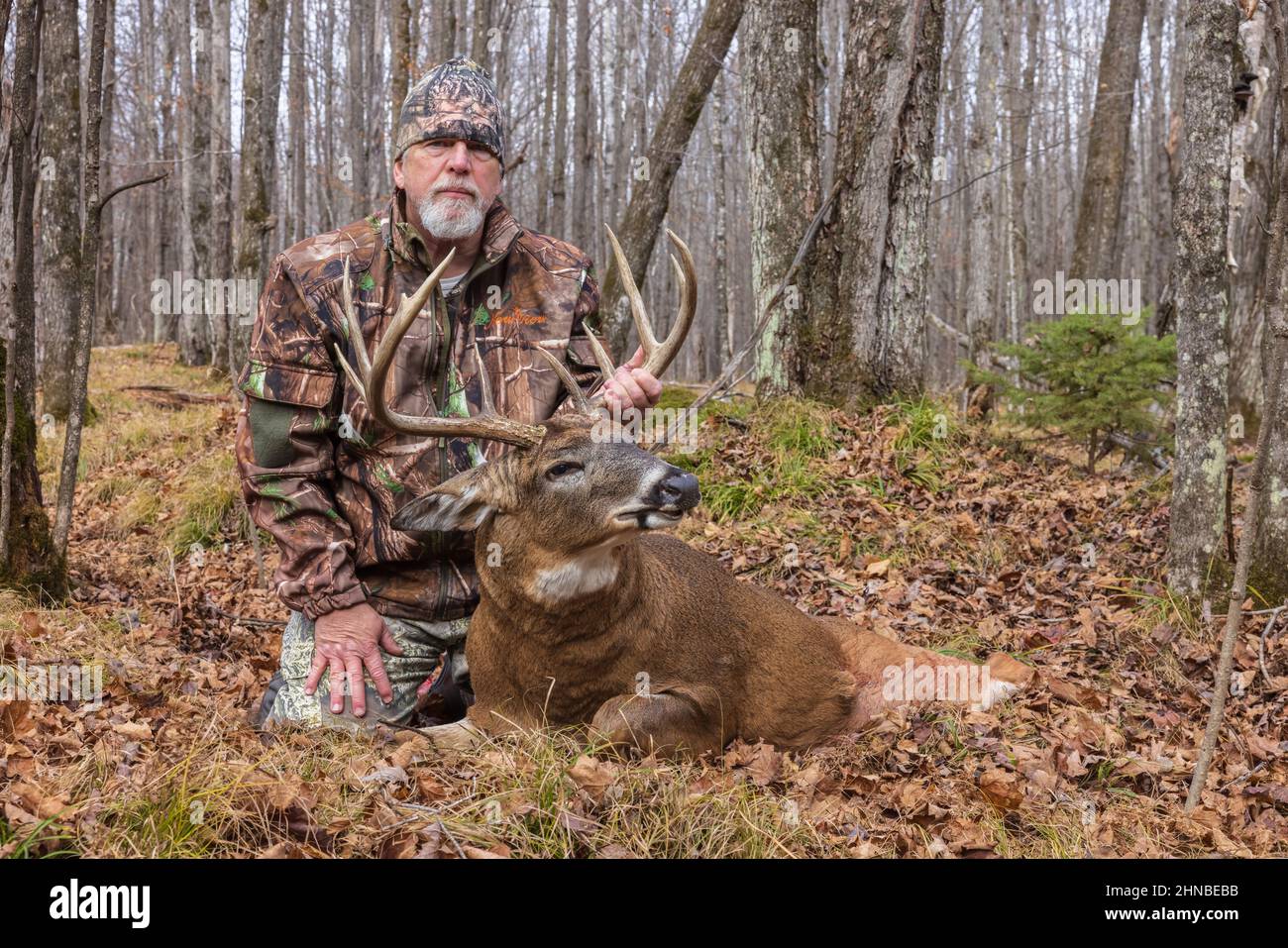 Cacciatore con un trofeo buck sparato durante la stagione di prua nel nord del Wisconsin. Foto Stock