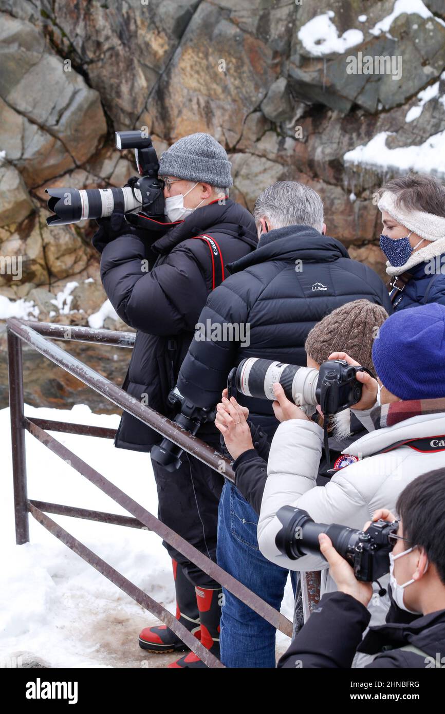 yamanochi, nagano, giappone, 2022/12/02 , turisti che scattano foto delle scimmie della neve al parco nazionale joshinetsu-kogen, dove i turisti possono andare a vedere la neve Foto Stock