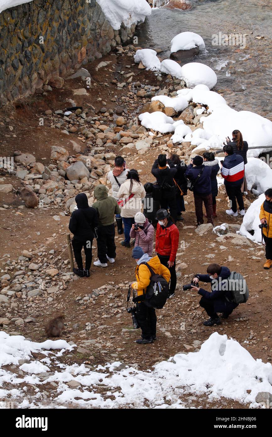 yamanochi, nagano, giappone, 2022/12/02 , turisti al parco nazionale joshinetsu-kogen, dove i turisti possono andare a vedere le scimmie della neve che prendono il bagno in un natu Foto Stock