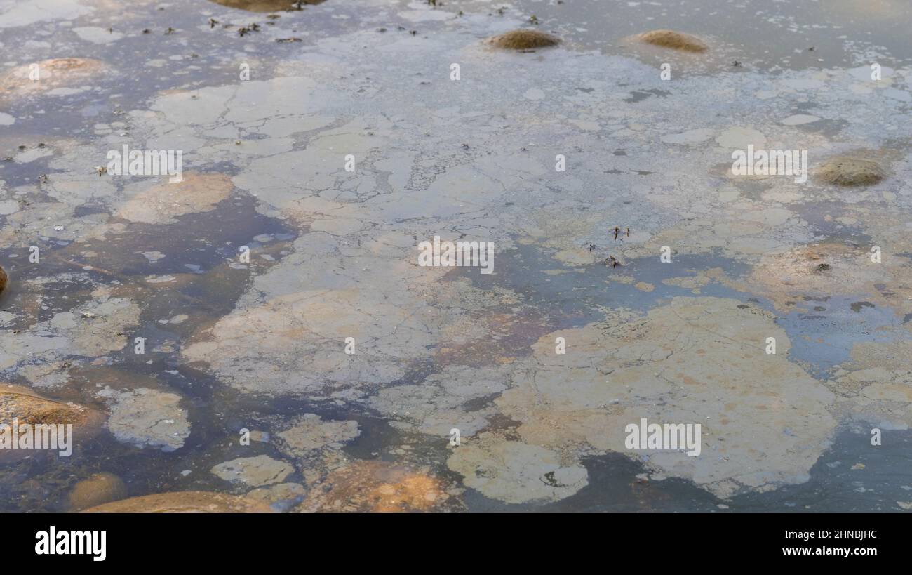 superficie dell'acqua inquinata con olio Foto Stock