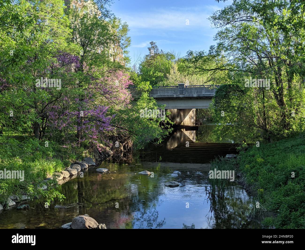 Vista su un fiume e su un ponte circondato da alberi e piante Foto Stock