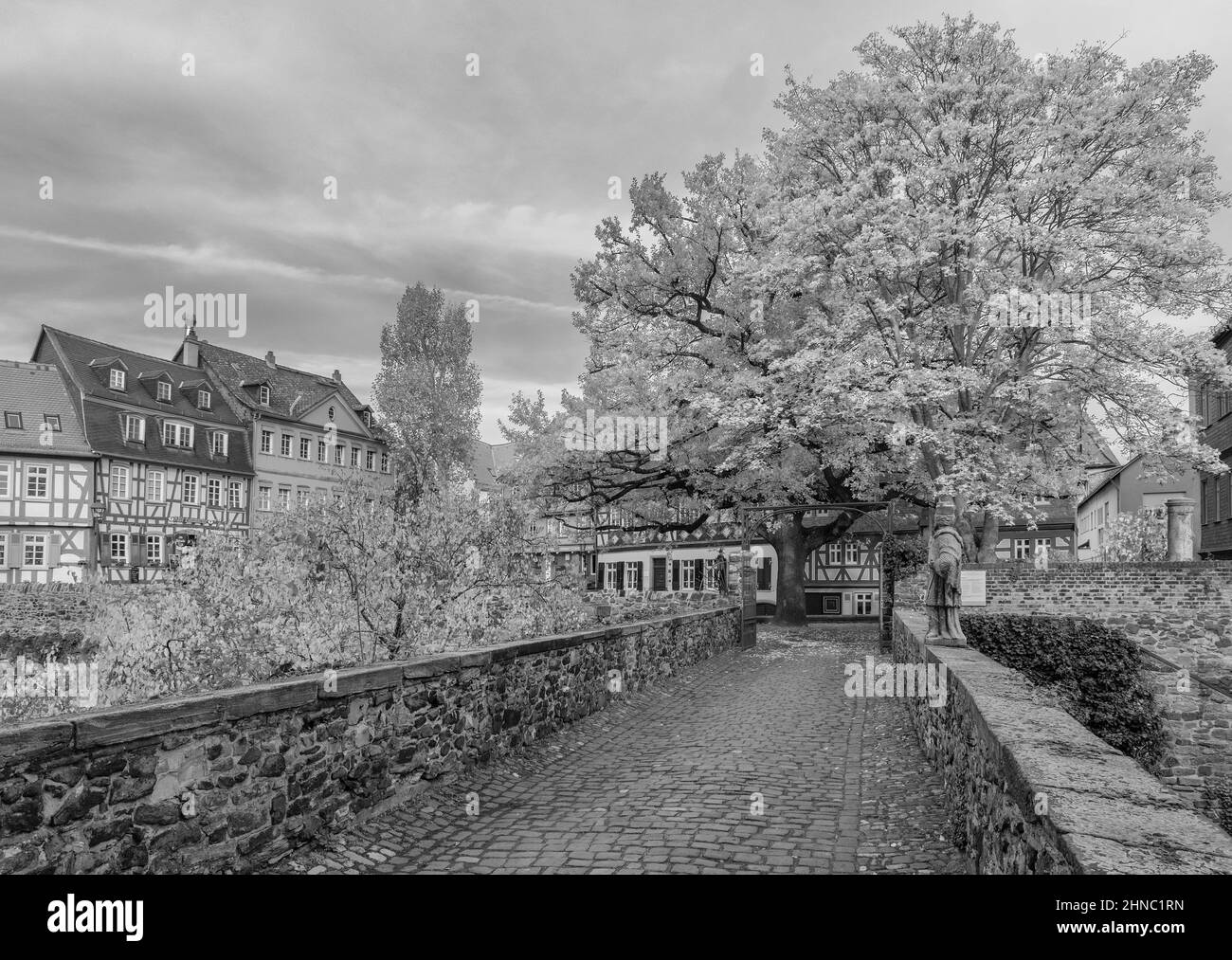Schlossplatz storica con ponte, monocromatico, Francoforte Höchst, Germania Foto Stock