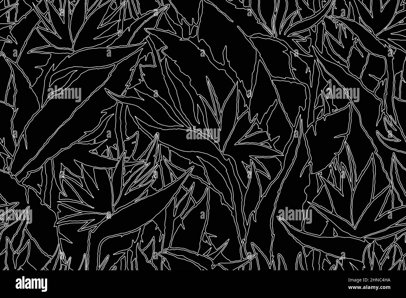 Uccello del Paradiso esotico giungla piante modello. Motivo floreale contemporaneo senza cuciture. Sfondo dell'illustrazione vettoriale. Illustrazione Vettoriale