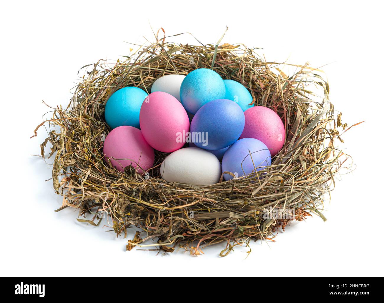 Un sacco di uova di Pasqua colorate in un nido d'uccello isolato su uno sfondo bianco. Vista laterale, primo piano. Il concetto di Pasqua. Foto Stock