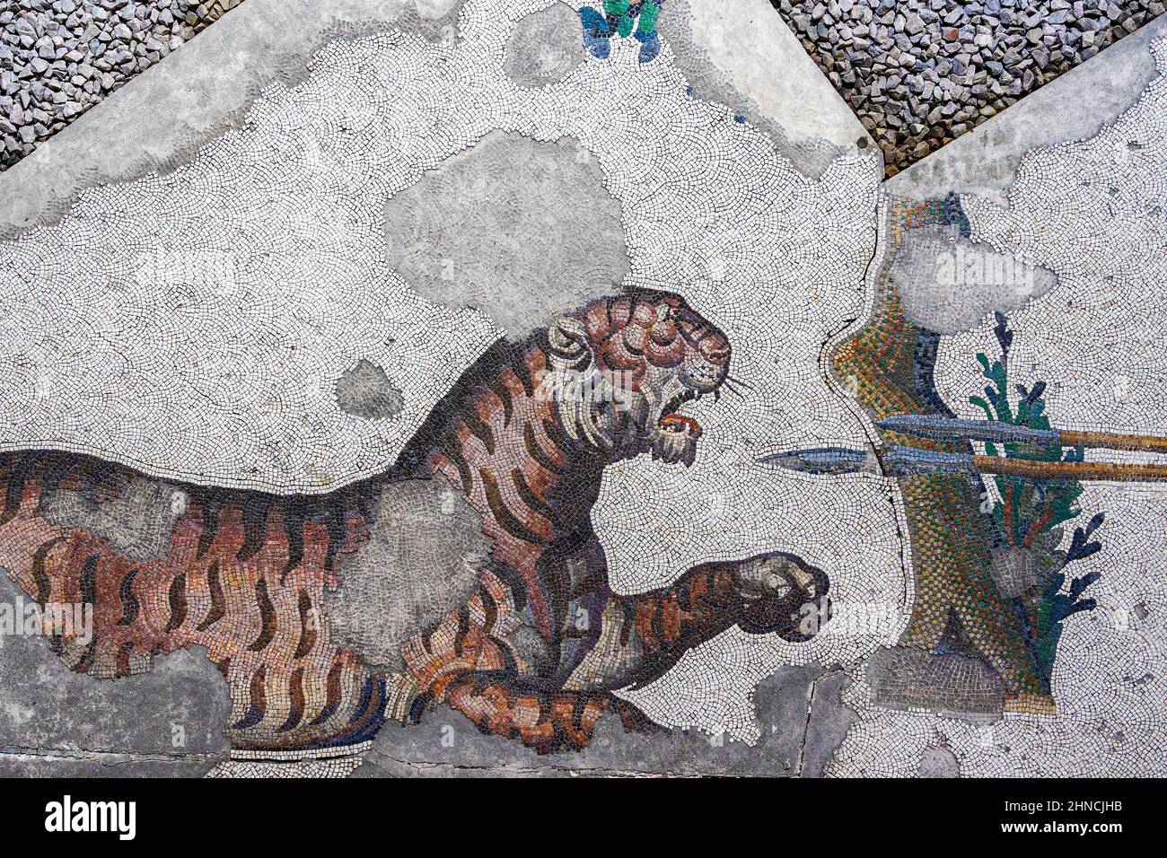 Antico Mosaico della Tigre dal periodo bizantino (periodo romano orientale) al Grande Palazzo di Costantinopoli. 4th-6th secolo. Museo dei mosaici del Grande Palazzo. Foto Stock