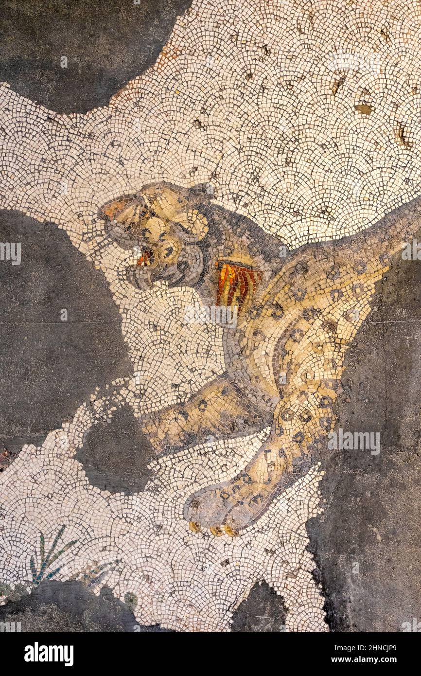 Antico Mosaico leopardo di epoca bizantina (epoca romana orientale) presso il Grande Palazzo di Costantinopoli. 4th-6th secolo. Foto Stock