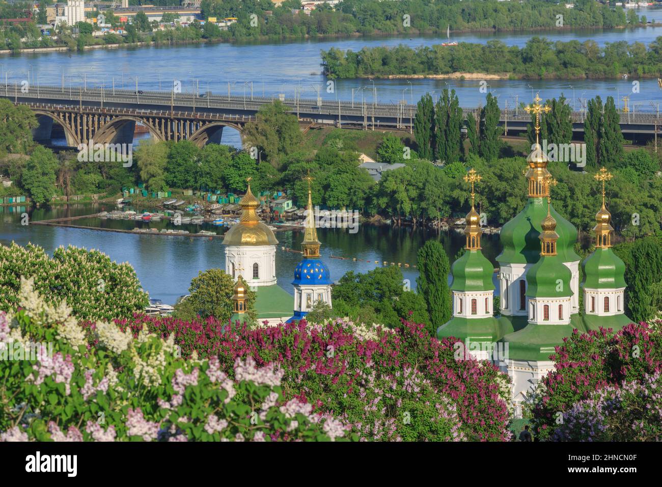 Lilacs fiorente nel giardino botanico, Kiev, Ucraina Foto Stock