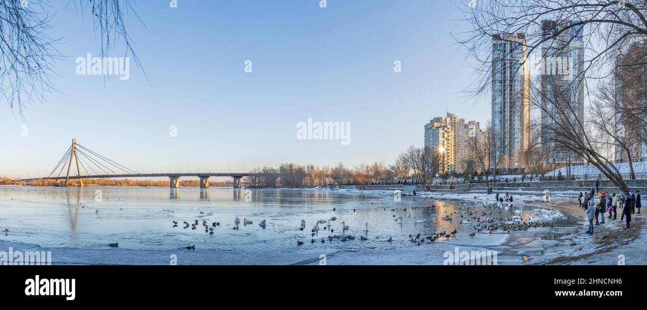 I visitatori del Parco Natalka nella zona di Obolon nella città di Kyiv si nutrono e fotografano cigni e anatre sul Dnieper congelato. Ucraina Foto Stock