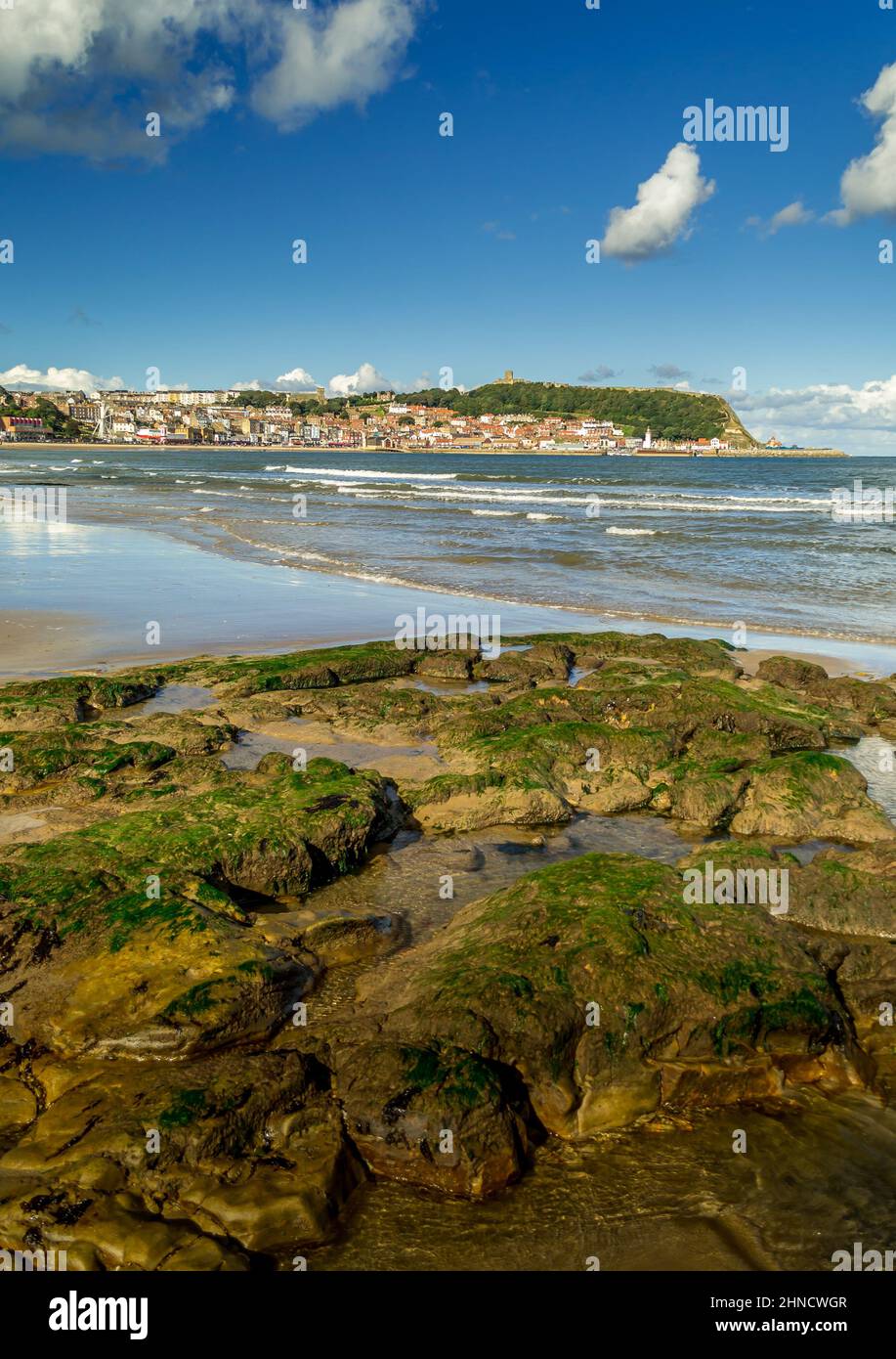 Le piscine di roccia nella baia del sud, Scarborough, Yorkshire del nord. Attraverso la sabbia si trova il porto, promontorio e la città vecchia. Foto Stock