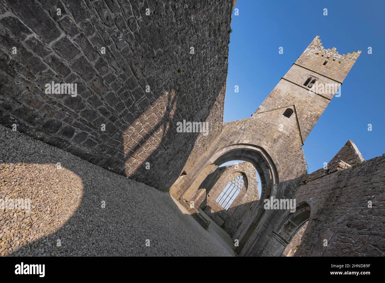 Irlanda, Contea di Mayo, Frate Rosserk fuori Ballina, fondata dalla famiglia Joyce circa 1440 per i Frati del terzo Ordine Francescano regolare e. Foto Stock