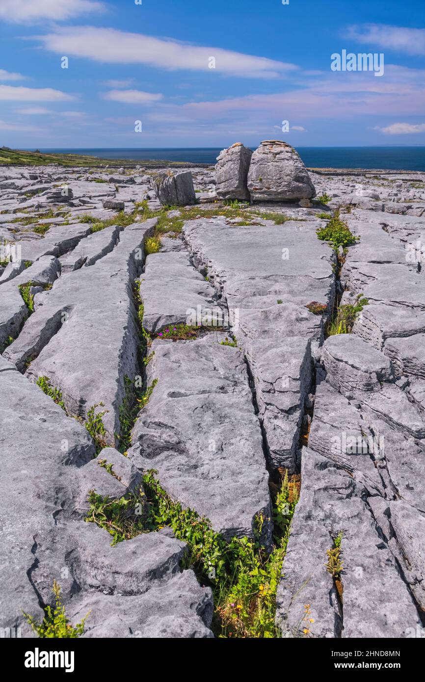 Irlanda, County Clare, Burren, blocchi di pietra calcarea e gryke o grike fessure che portano a un masso di roccia diviso in due per erosione. Foto Stock