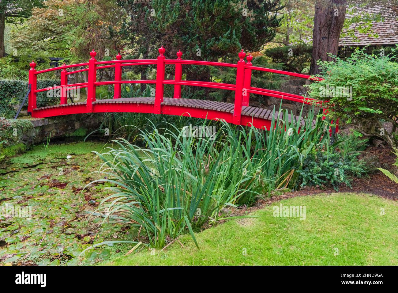 Irlanda, Contea di Kildare, Kildare città, Irish National Stud and Gardens, i Giardini Giapponesi, il Ponte della vita. Foto Stock