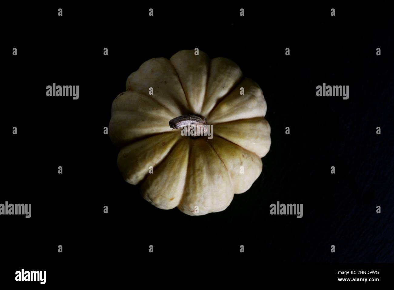 concetto di raccolta - la zucca bianca isolata su sfondo nero l'immagine piatta contiene spazio di copia Foto Stock