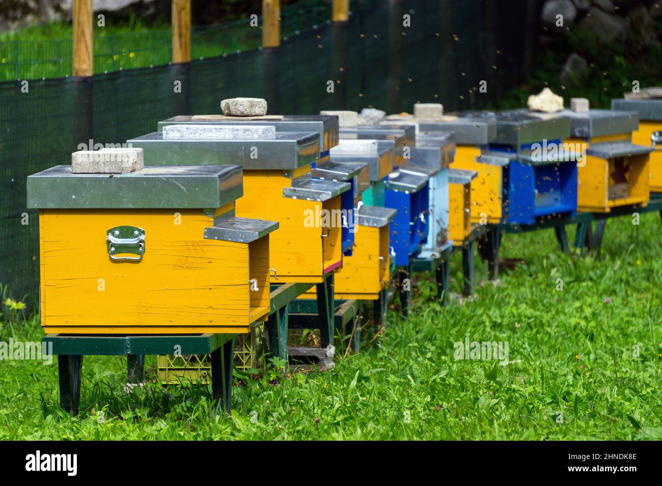 Italia, Lombardia, Valtellina, Val Masino, Visido di dentro, apicoltura Foto Stock