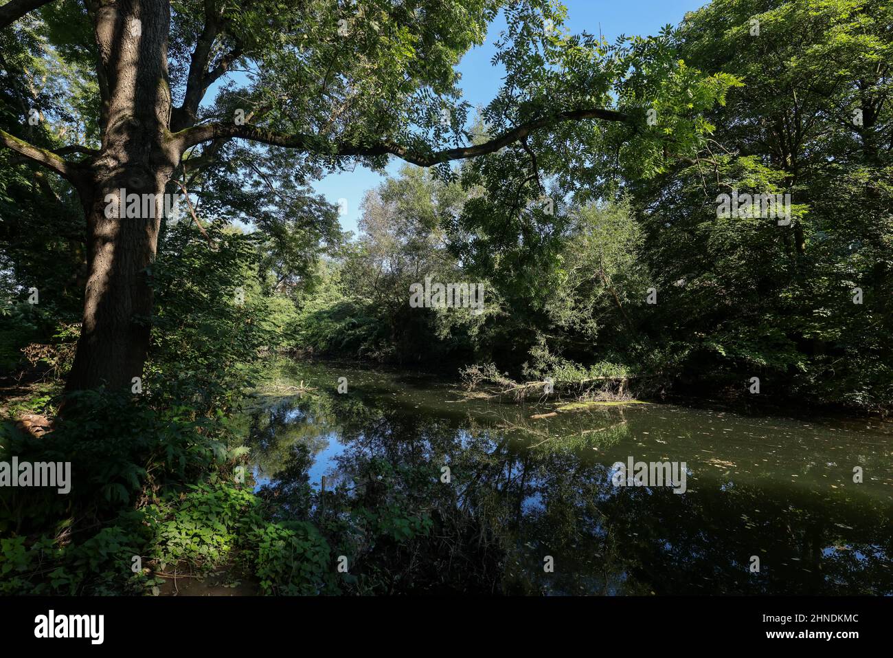 Witten, Renania settentrionale-Vestfalia, Germania - Muehlenraben a Witten. Foto Stock