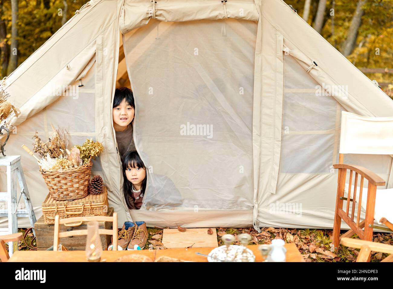 Fratello e sorella giapponesi che si scavano dalla loro tenda Foto Stock