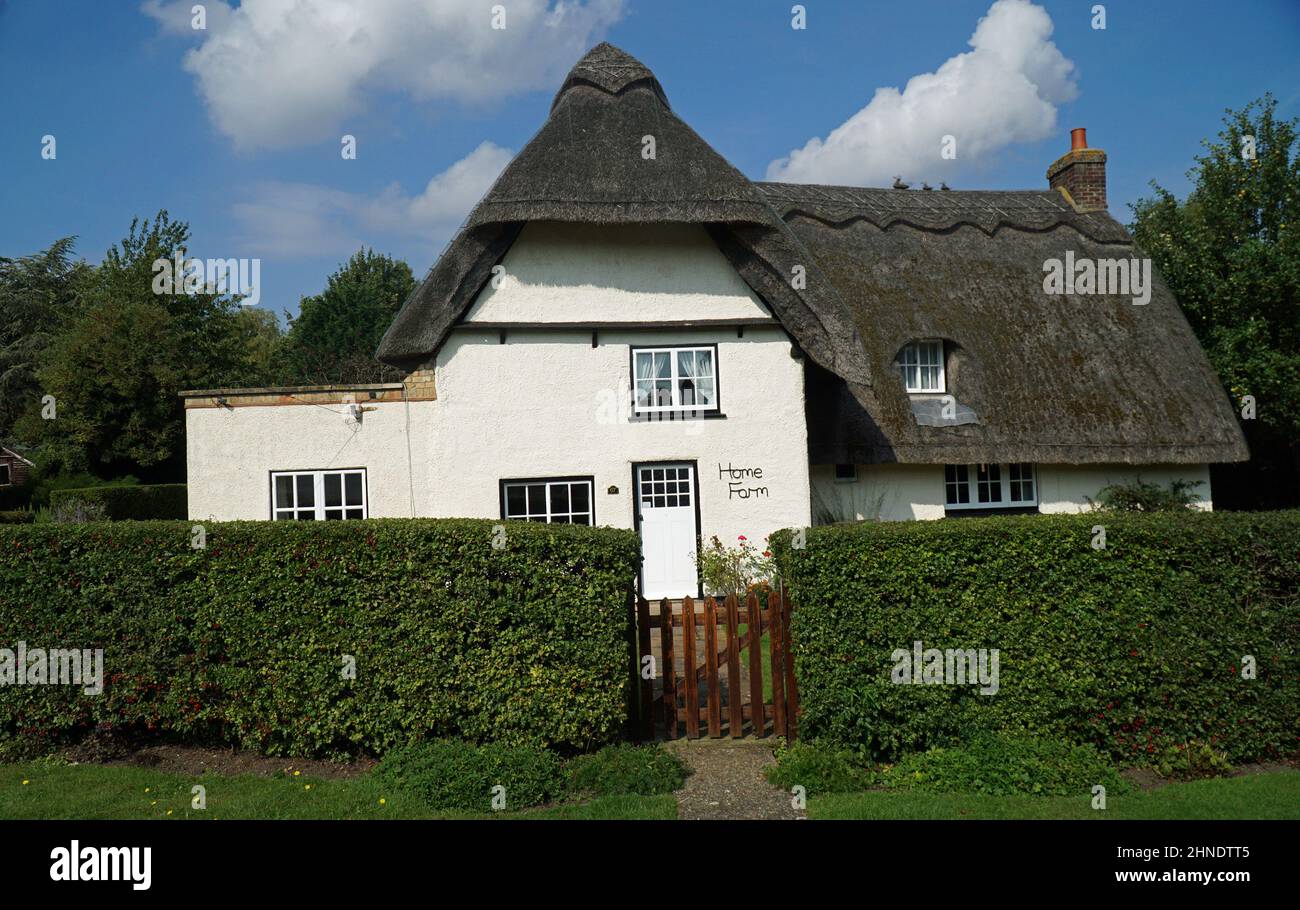 Cottage tradizionale con pareti bianche e paglia con cancello e siepe. Foto Stock