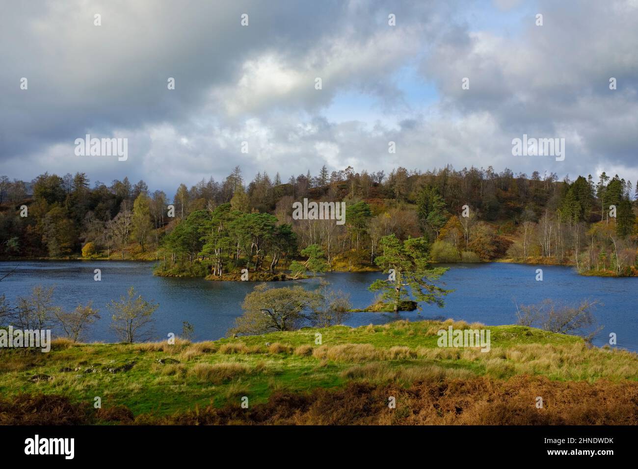 Tarn Hows nel Lake District inglese. Foto Stock