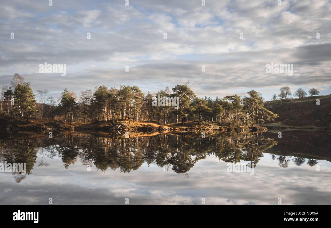 Riflessi perfetti a Tarn Hows Foto Stock
