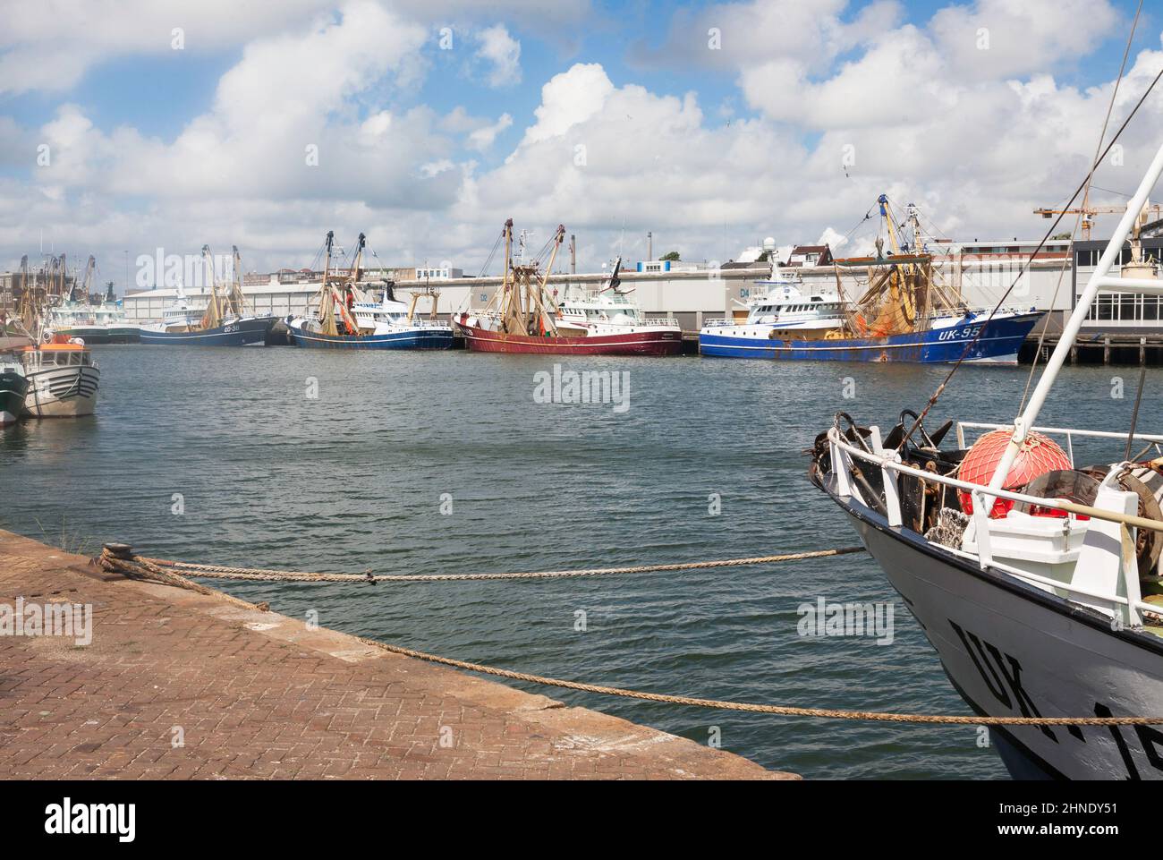 Una flotta di navi per la pesca a strascico nel porto di Ijmuiden nei Paesi Bassi, l'Europa. Foto Stock