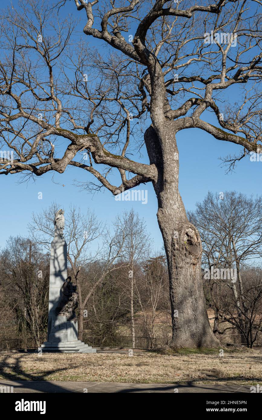 Un'alta quercia da basket, un albero testimone, sovrasta il Monumento alla battaglia di Nashville, un tributo alla battaglia di Nashville combattuta nel dicembre del 1864. Foto Stock