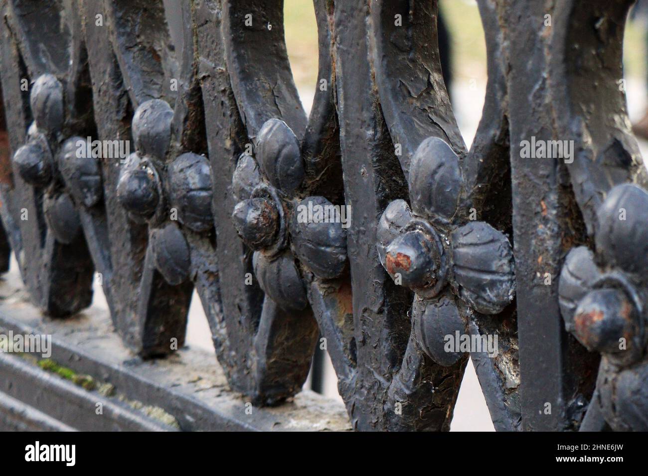 Recinzione in ferro battuto con fiori. Recinzione decorativa in ferro battuto. Recinzione moda in metallo. Foto Stock