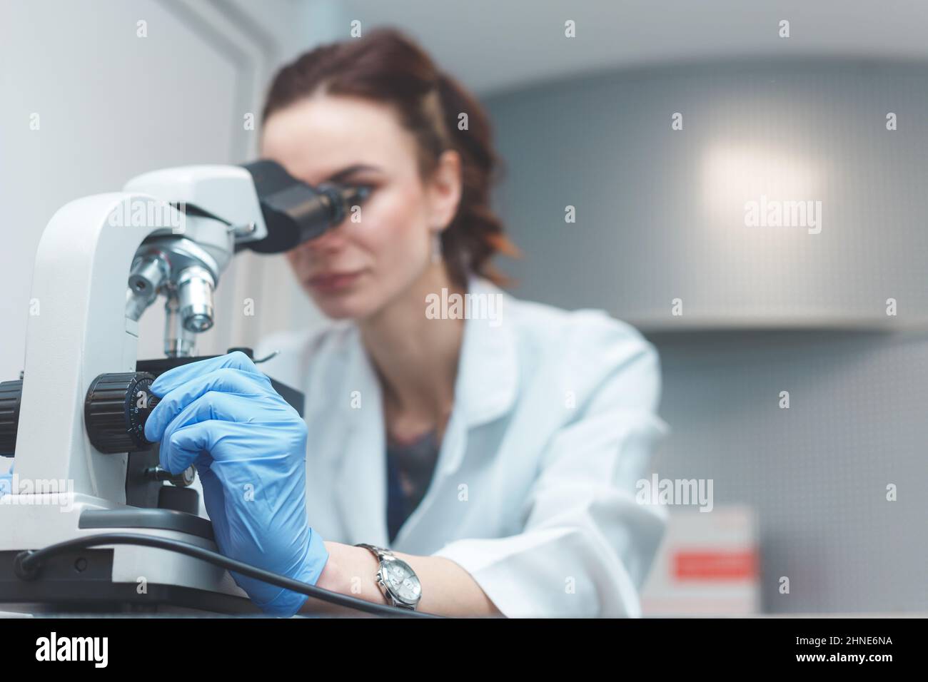 Donna scienziata che ricerca al microscopio in laboratorio. Messa a fuoco a portata di mano, regolazione dell'obiettivo. Foto Stock