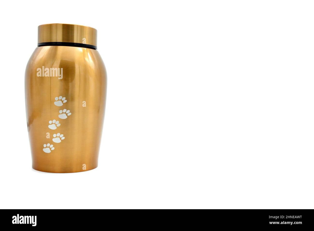 Urna funeraria per animali domestici dopo la cremazione. Foto Stock