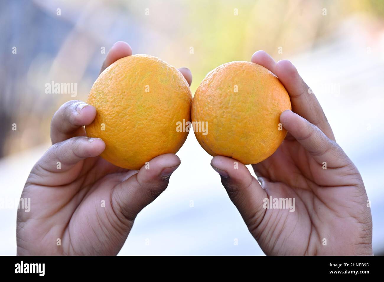 primo piano la coppia di pompelmo arancione maturo tiene la mano fuori fuoco sfondo giallo marrone. Foto Stock