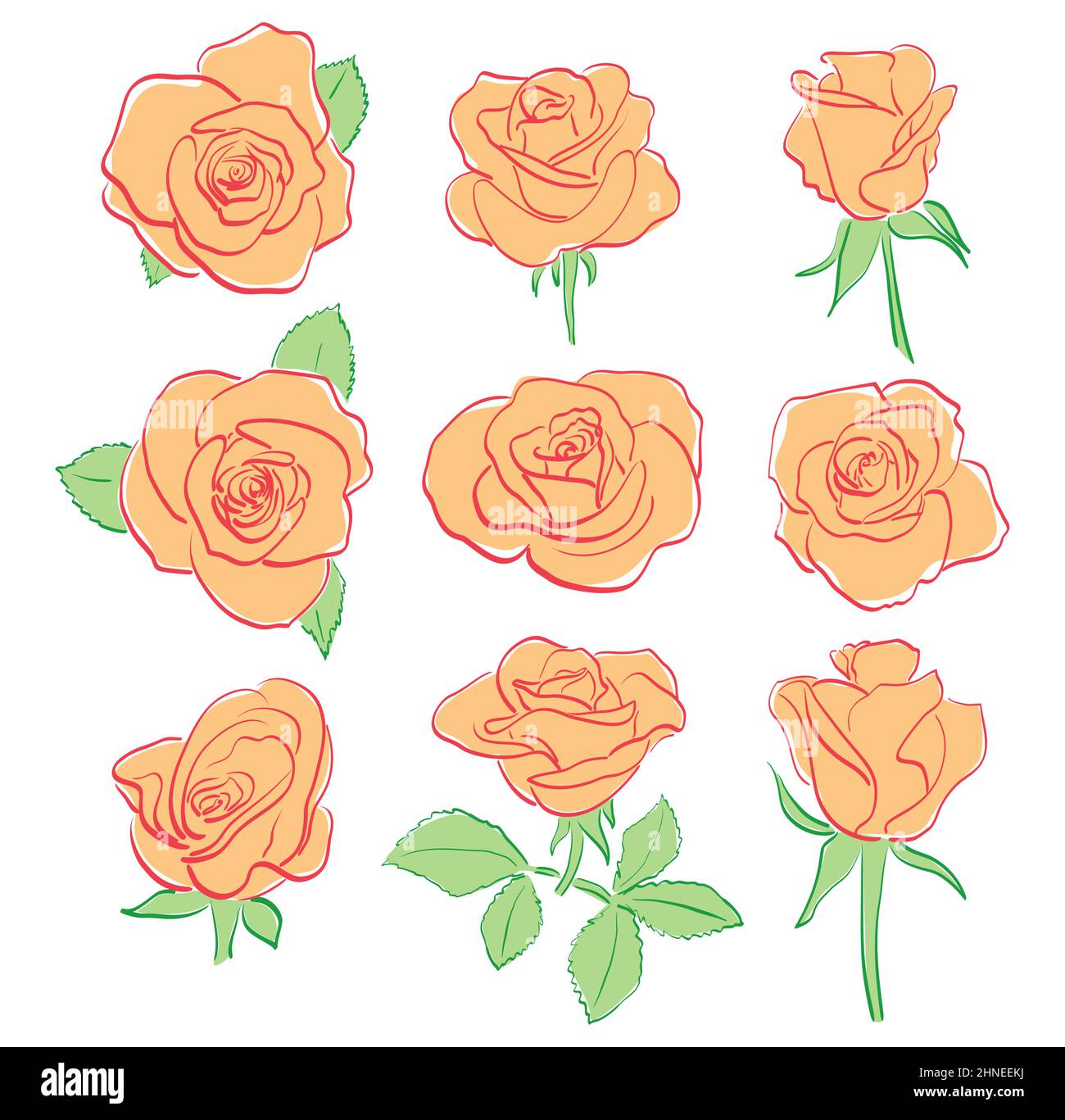 rose rosse arancioni - set vettoriale Illustrazione Vettoriale