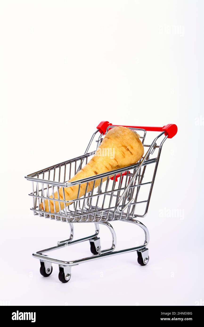 Un singolo parsnip in un carrello carrello carrello carrello carrello spesa sano mangiare / shopping concetto con spazio copia Foto Stock