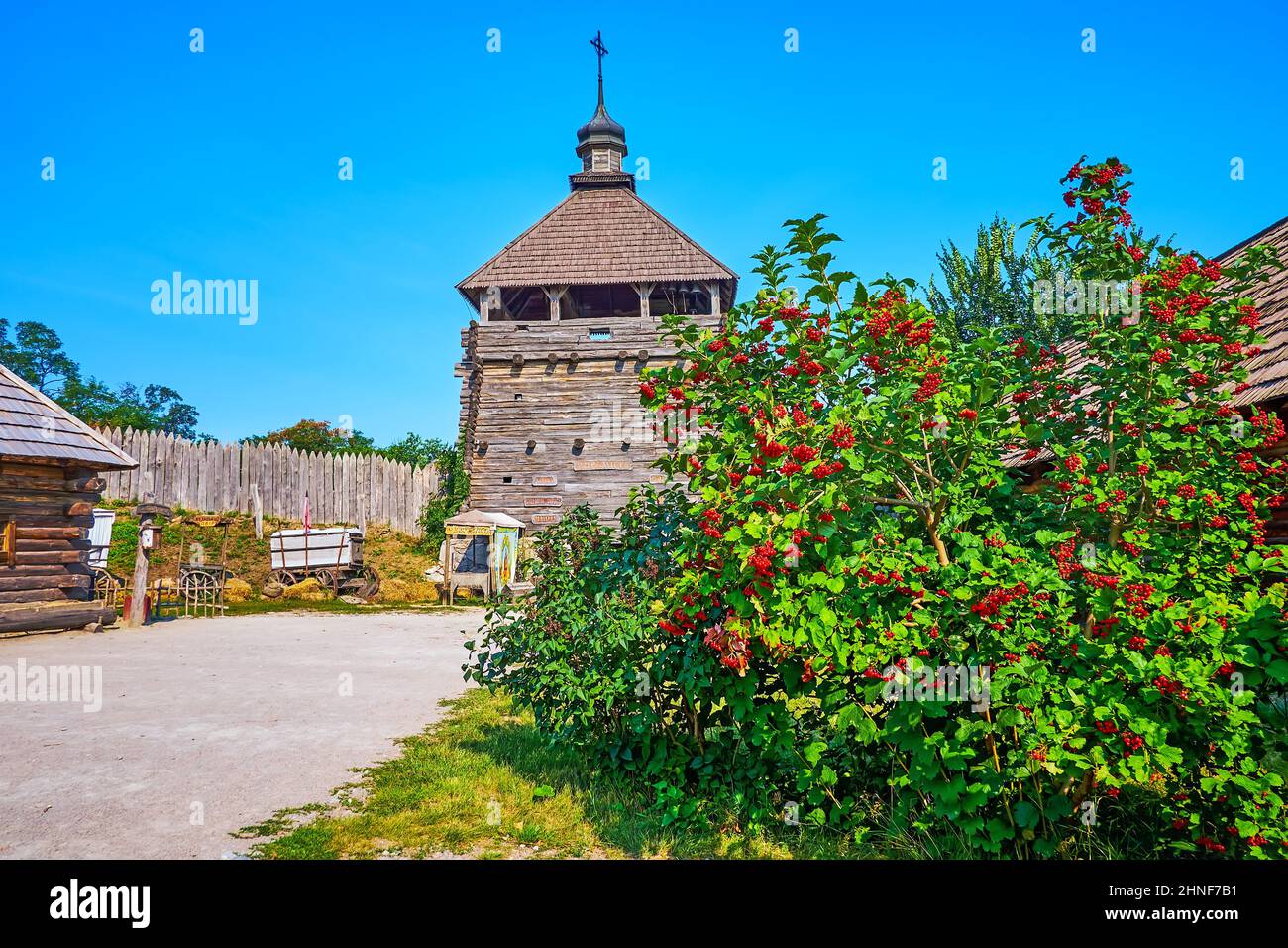 Il lussureggiante cespuglio di viburnum e la torre di legno di Zaporizhian sich scansen, Zaporizhzhia, Ucraina Foto Stock