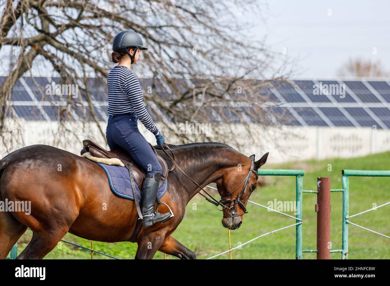 Giovane ragazza a cavallo lungo il campo delle batterie solari in campagna Foto Stock