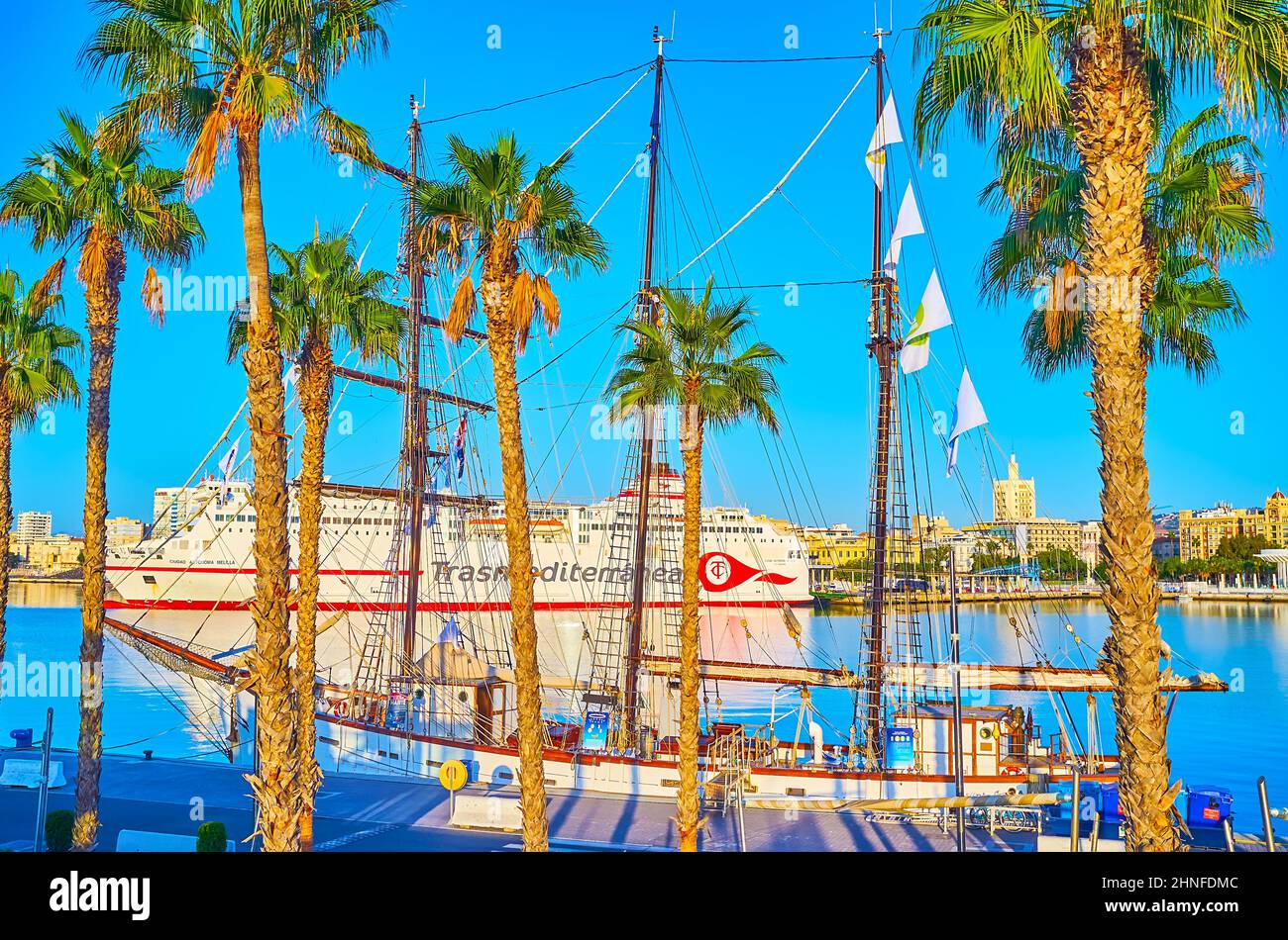 MALAGA, SPAGNA - 29 SETTEMBRE 2019: La vista del porto di Malaga con palme alte, nave a vela ormeggiata e nave da crociera, il 29 settembre a Malaga Foto Stock