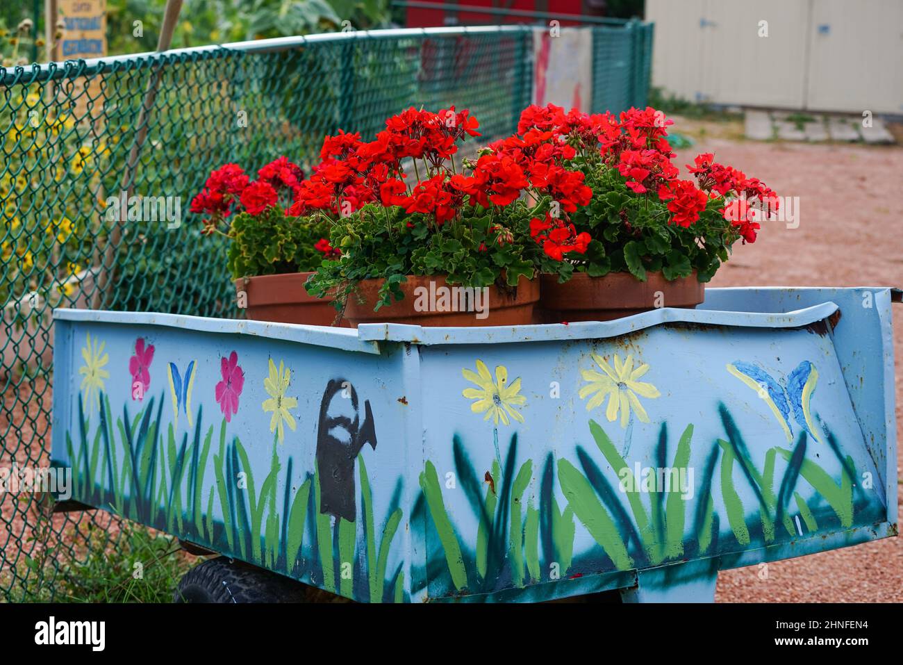 Un gruppo di pentole con gerani rossi in fiore crea un'atmosfera accogliente per un giardino comunitario interno della città. Foto Stock