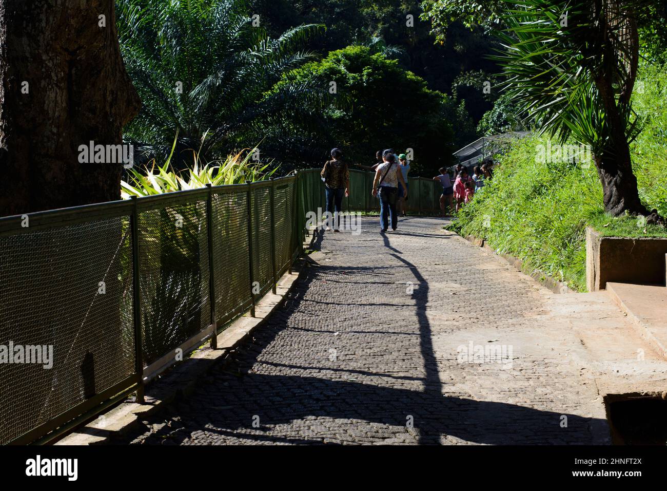 Getulio Vargas Zoobotanico Park, o Salvador Zoo, è uno zoo situato a Salvador, capitale dello stato di Foto Stock