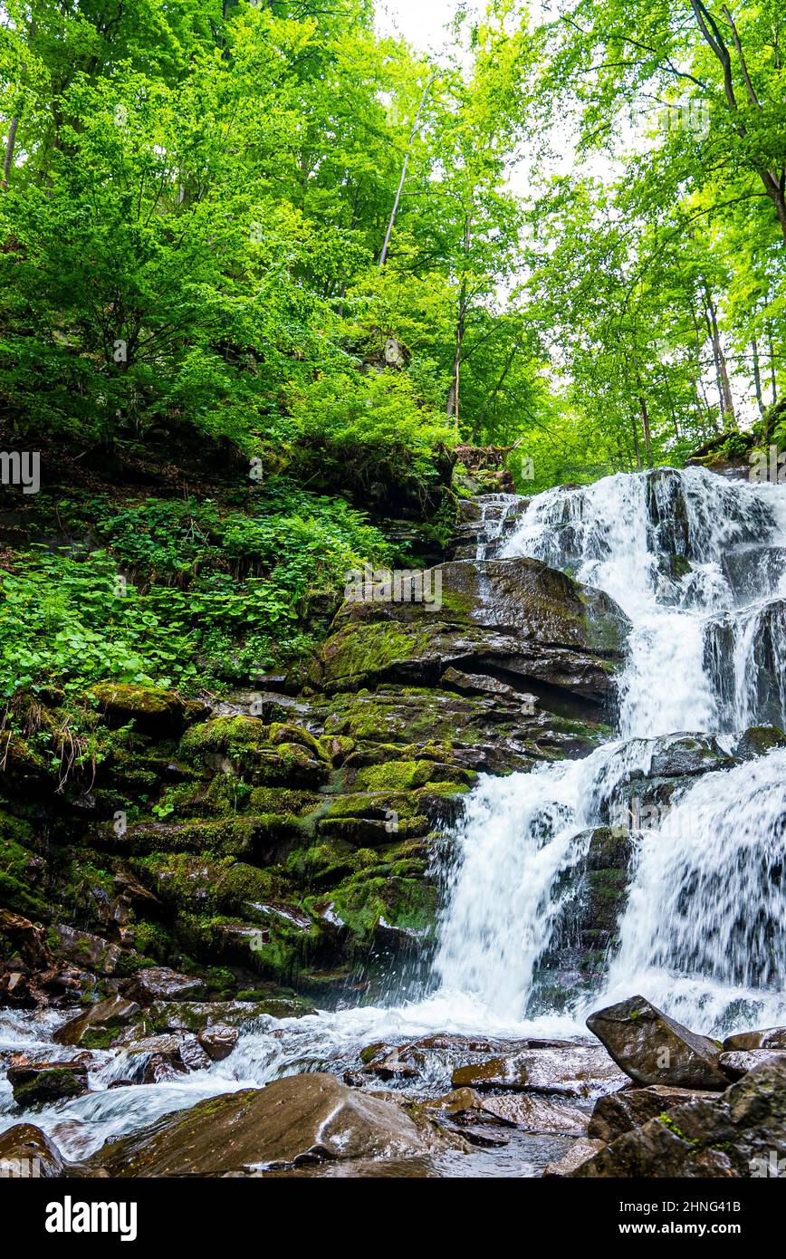 Vista maestosa della cascata con acqua che scorre attraverso le pietre nella foresta verde Foto Stock