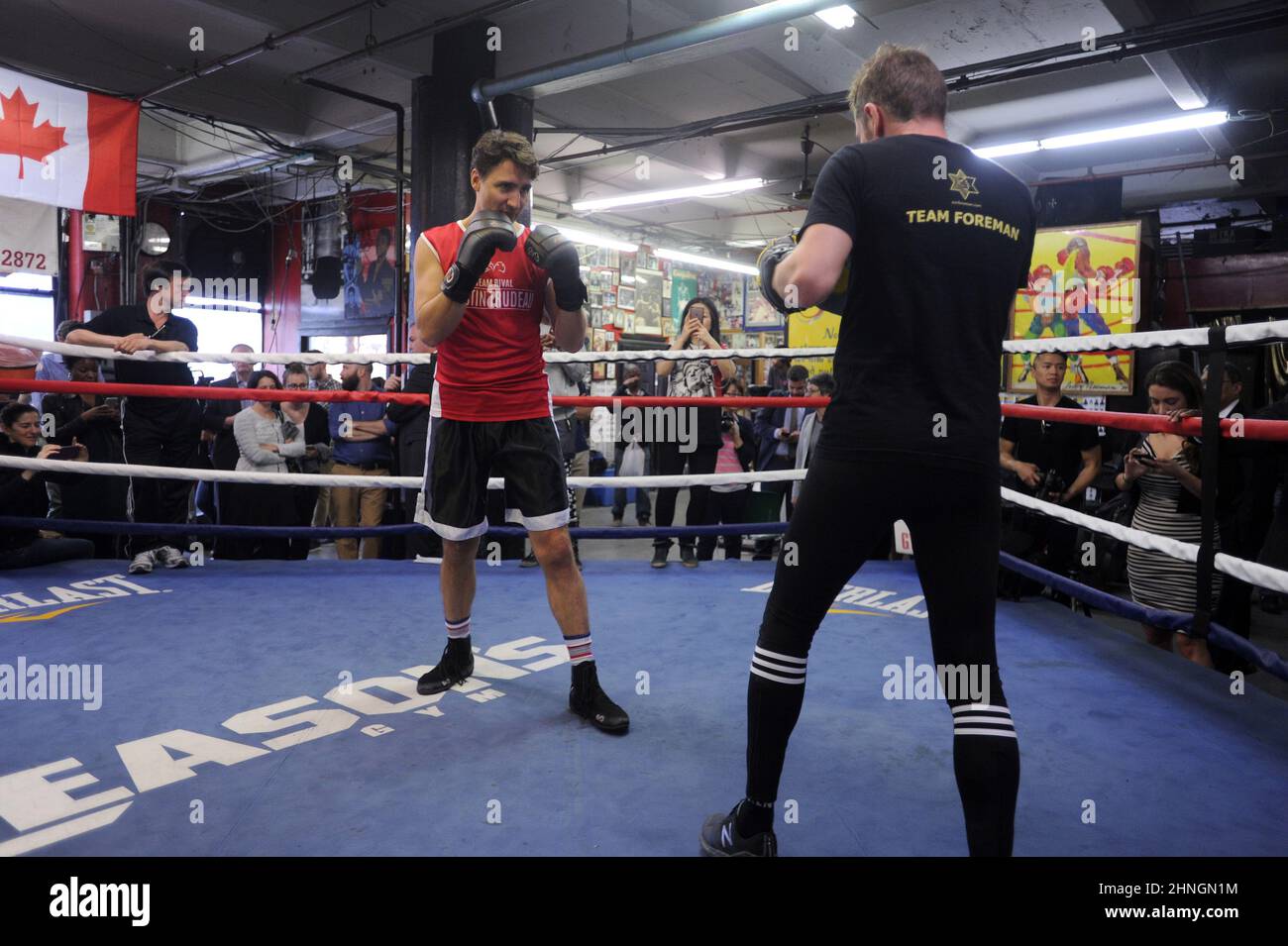 NEW YORK, NY - APRILE 21: Primo Ministro del Canada Justin Trudeau boxing a New York il 21 Aprile 2016 a New York City. Persone: Primo Ministro del Canada Justin Trudeau Foto Stock