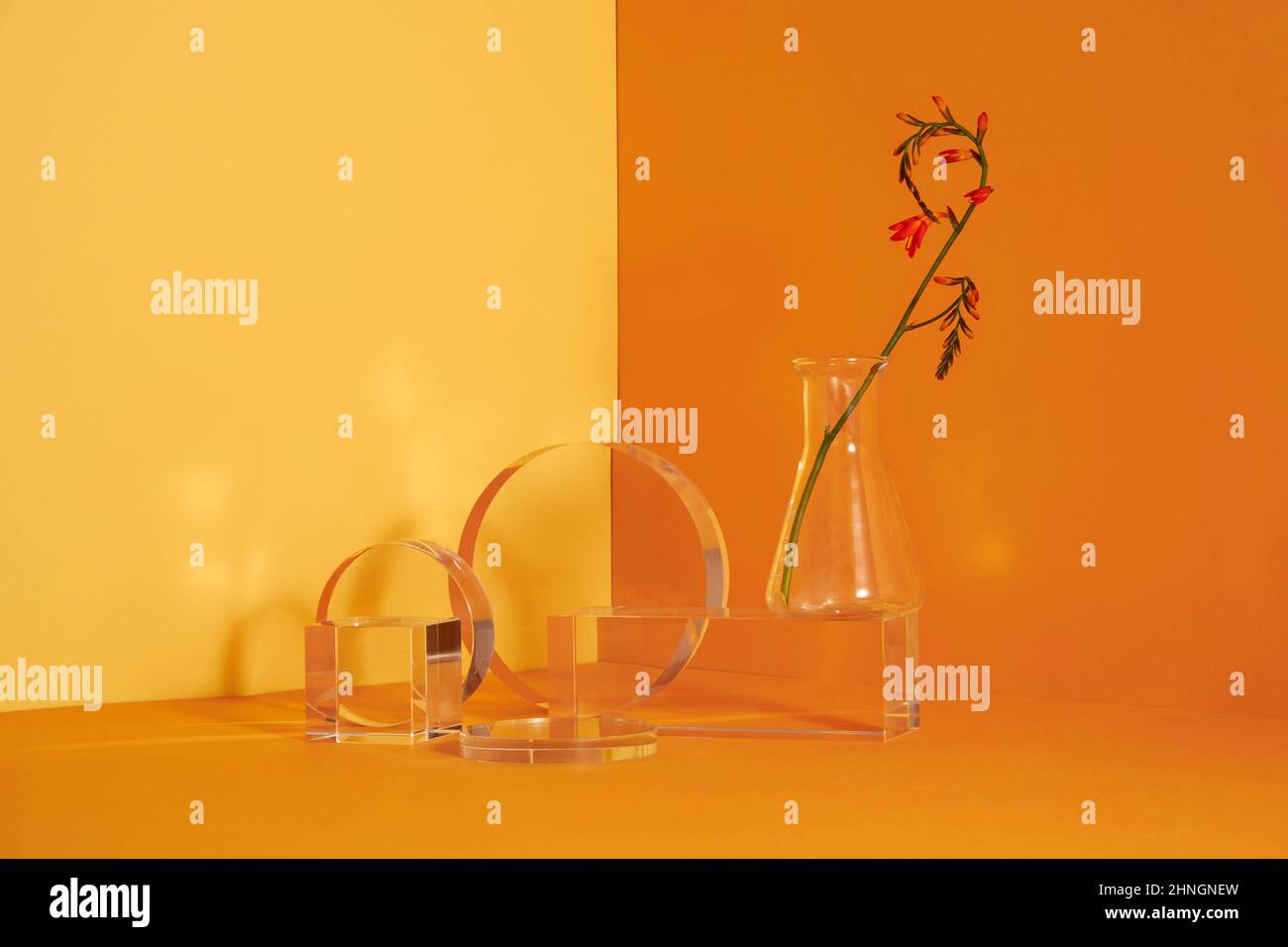 Podio in vetro e scena floreale minimale con nervature su sfondo giallo. Stand per mostrare il prodotto cosmetico. Vetrina su piedistallo moderno in vetro Foto Stock