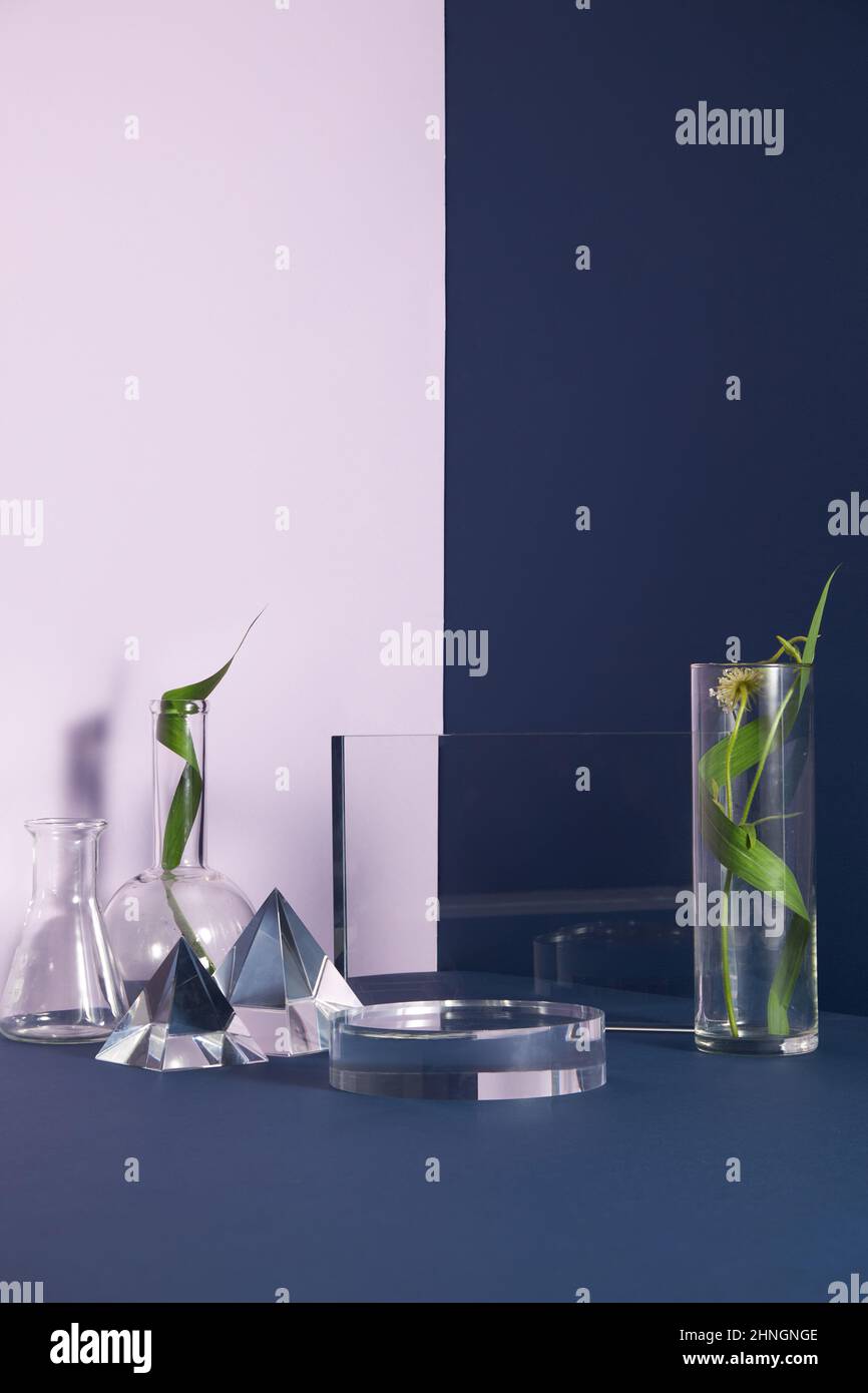 Podio in vetro e scena floreale minimale con nervature su sfondo blu. Stand per mostrare il prodotto cosmetico. Vetrina su piedistallo moderno studio in vetro Foto Stock