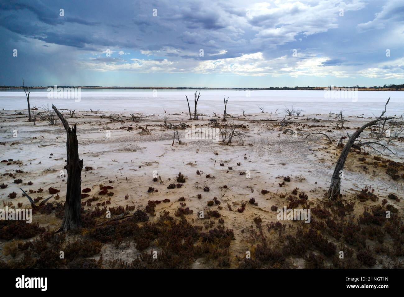 Vista sul lago Ninan Salt Lake, Wongan Hills, Australia Occidentale Foto Stock