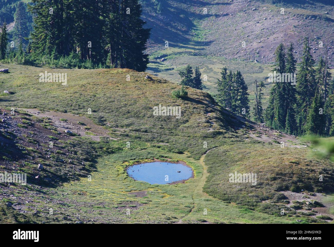 La vista mozzafiato dal Grade Trail Railroad sul lato sud del Monte Baker nelle Cascades di Washington. Foto Stock