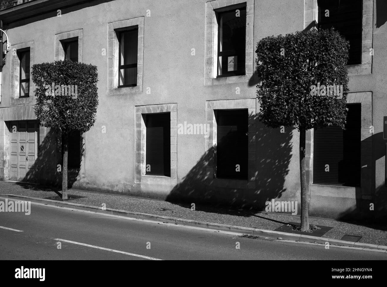 Alberi di taglio quadrato che si profilano Avenue Gambetta, Sarlat, Dordogne, Francia Foto Stock