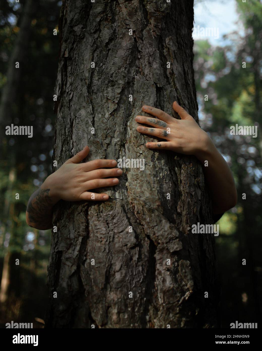 Mani di donna che tengono i pennelli. Concetto di una persona che pensa al suo prossimo pezzo d'arte Concetto di pittura e processo creativo. Foto Stock