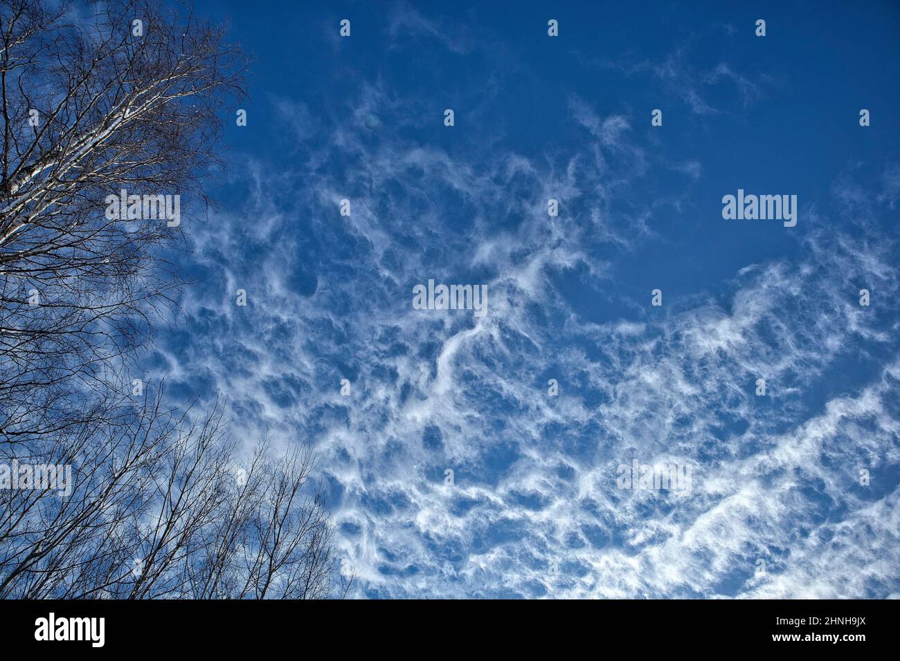 Nuvole di Fractus sul cielo blu Foto Stock