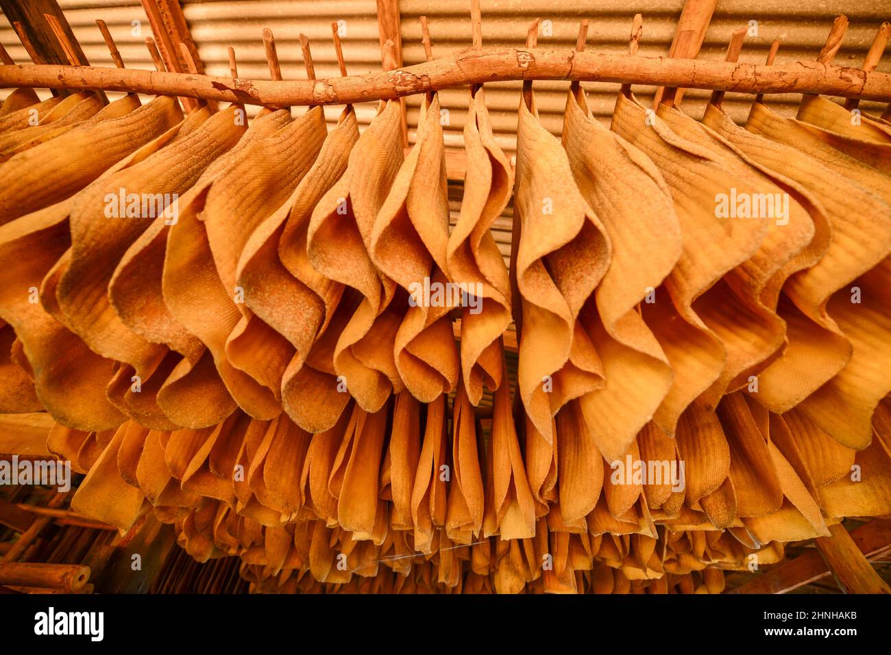 Molti fogli di gomma appendono sulle scaffalature di legno per l'asciugatura naturale. Foto Stock Molti fogli di gomma appendono sulle scaffalature di legno per l'asciugatura naturale. Foto Stock